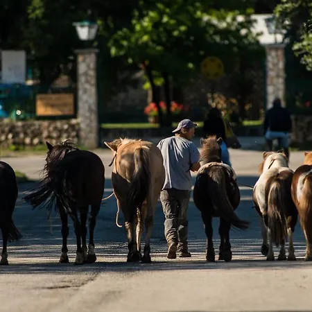 Agriturismo Maneggio Vallecupa Farm stay *