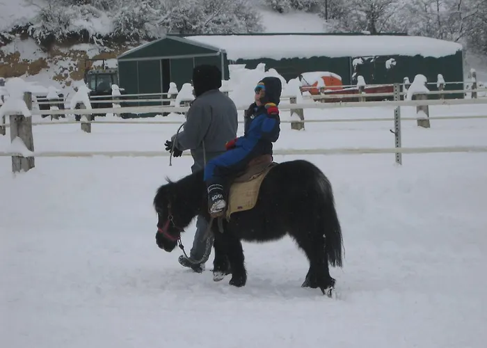 Κατάλυμα σε φάρμα Maneggio Vallecupa Pescasseroli