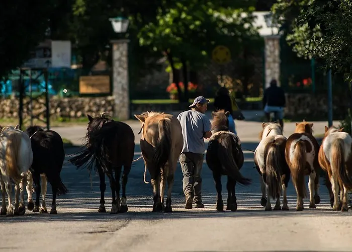 Maneggio Vallecupa Фермерский дом *